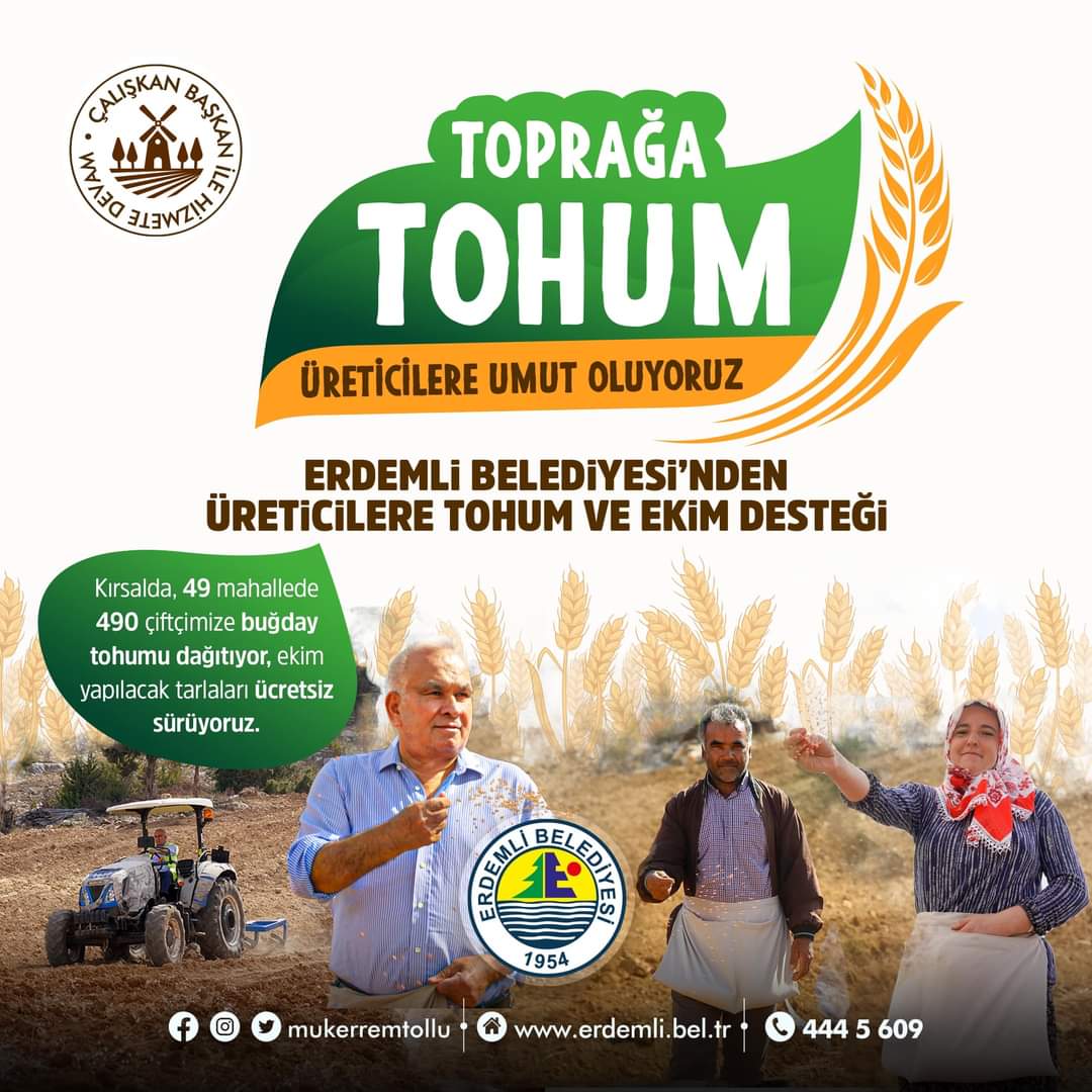 Buğday 