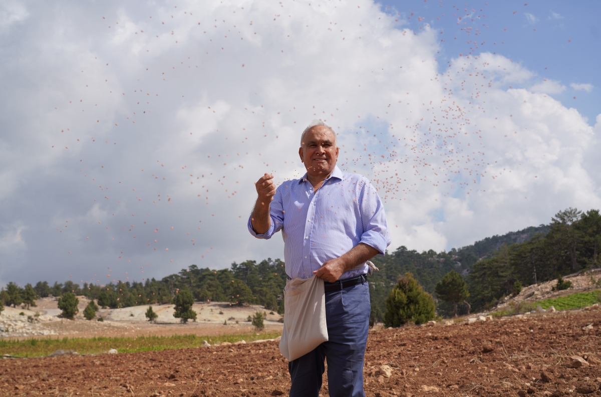 Süper başkan
