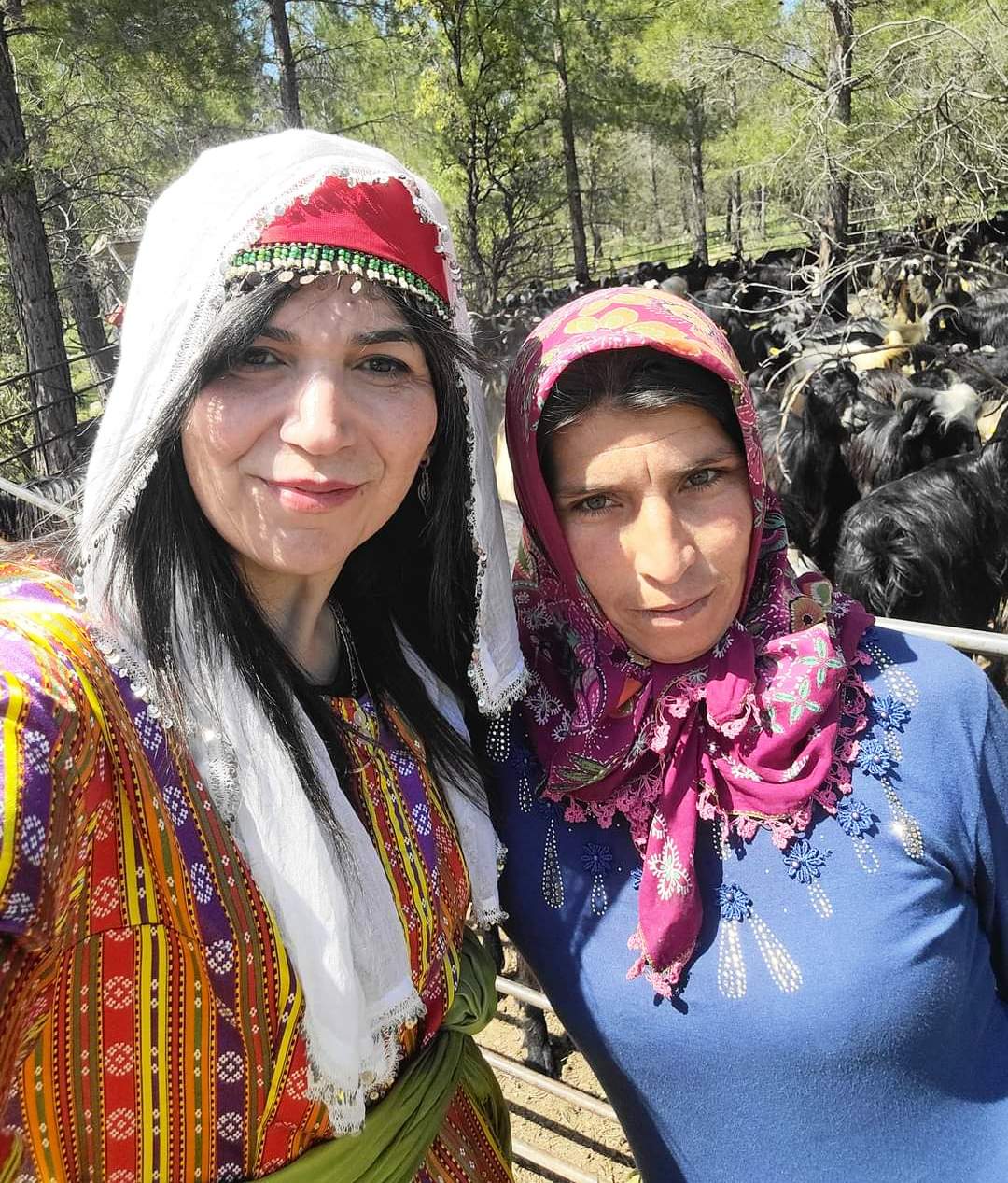 yörük göçü 