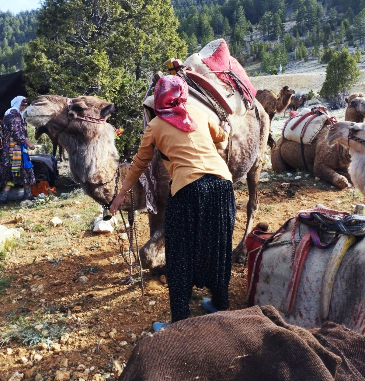 yörük göçü 
