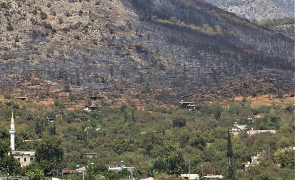 Mersin’deki orman yangını, küle dönen bölge havadan görüntülendi
