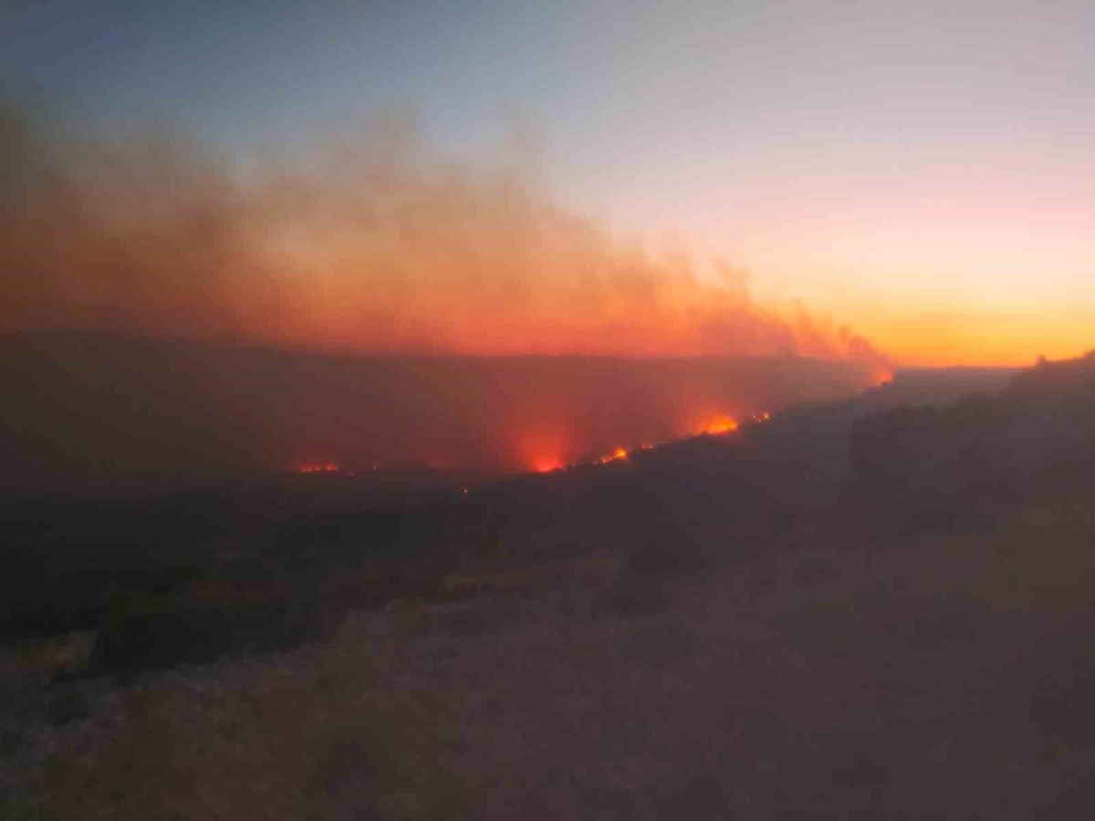 Mersin’de orman yangını devam ediyor, iki köyün tedbir amaçlı tahliyesi planlanıyor
