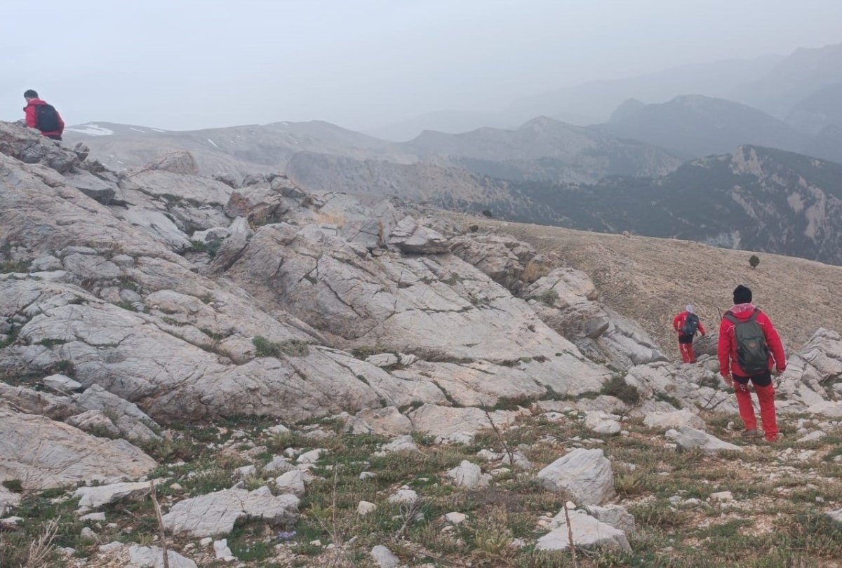 Mersin’de tırmanışa geldiği dağlık alanda kayıp olan emekli öğretim üyesi aranıyor
