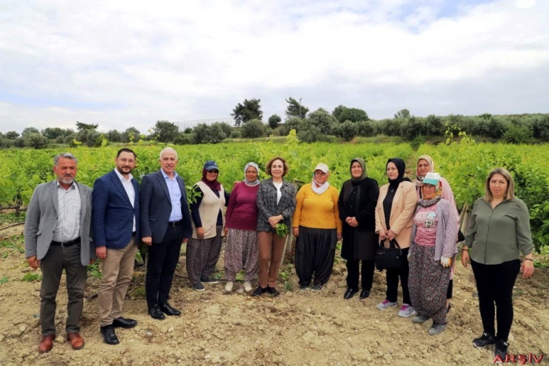 Akdeniz Belediyesi, çiftçilere verimli gübre kullanımı semineri başlatıyor 