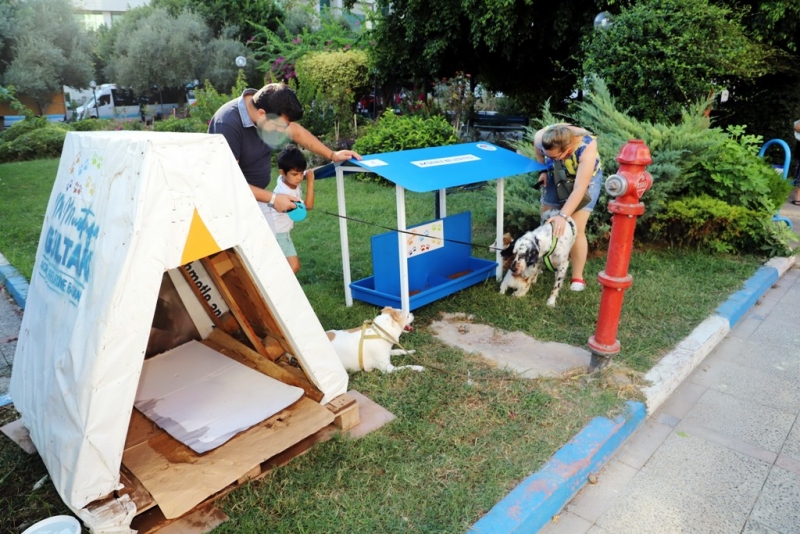  Akdeniz Belediyesi, sokak hayvanları için yuva yapıyor 