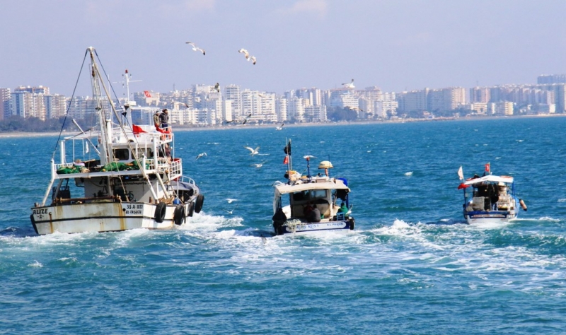 Akdeniz’de balıkçılar sezonu erken kapatmaya başladı   