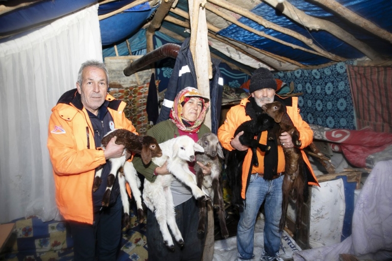 Büyükşehir Belediyesi Karda mahsur kalan 120 küçükbaş hayvan kurtardı