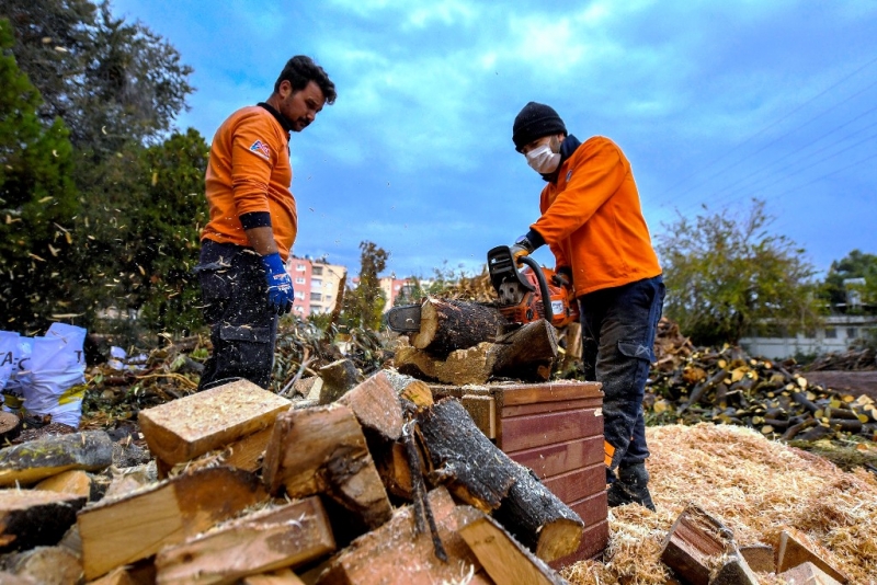  Büyükşehir Belediyesinden yaşlılara odun desteği 
