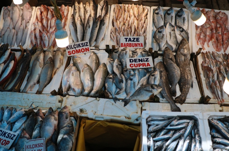 Çiftlik balığı fiyatları deniz balıklarını geçti 