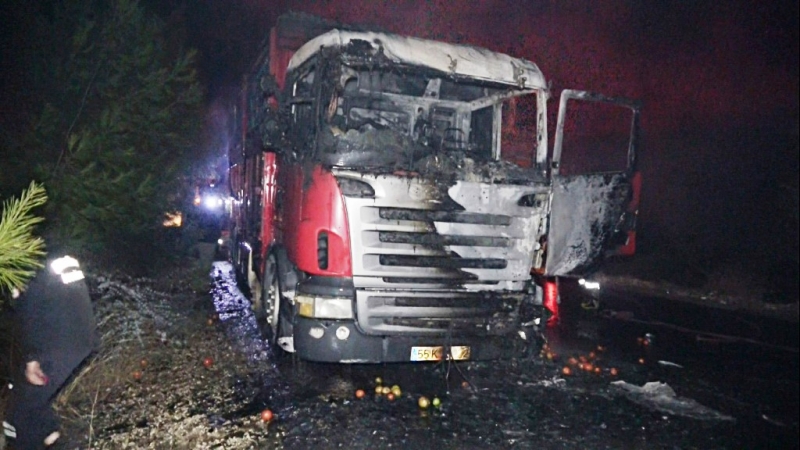 Erdemli'de kamyon seyir halindeyken yandı