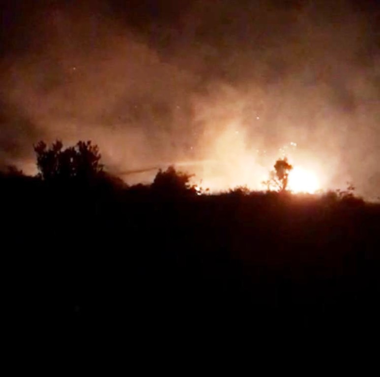 Erdemli'de korkutan orman yangını  
