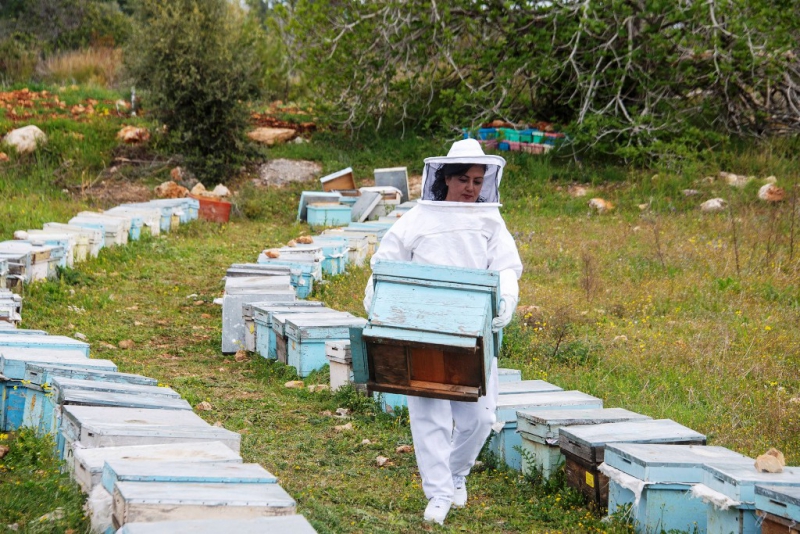  Mersin'de 708 arı yetiştiricisine belediyeden ekipman desteği   