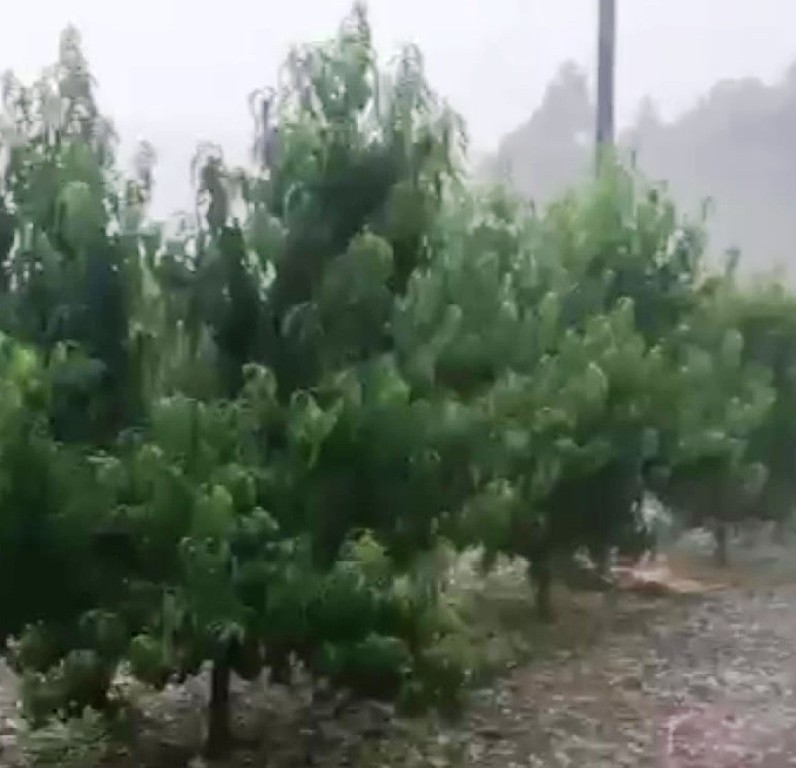 Mersin'de dolu yağışı sebze ve meyveyi vurdu 