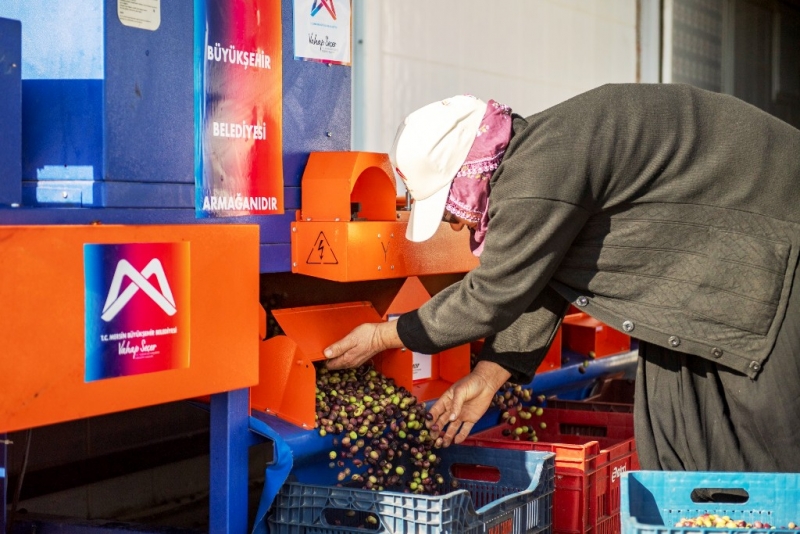 Mersin'de zeytin üreticilerine ekipman desteği   