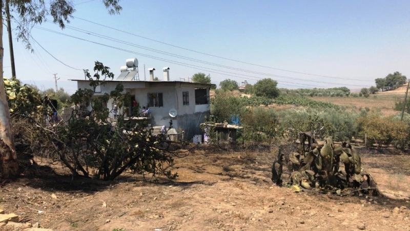  Tarsus’ta bahçedeki yangında 43 ağaç zarar gördü   