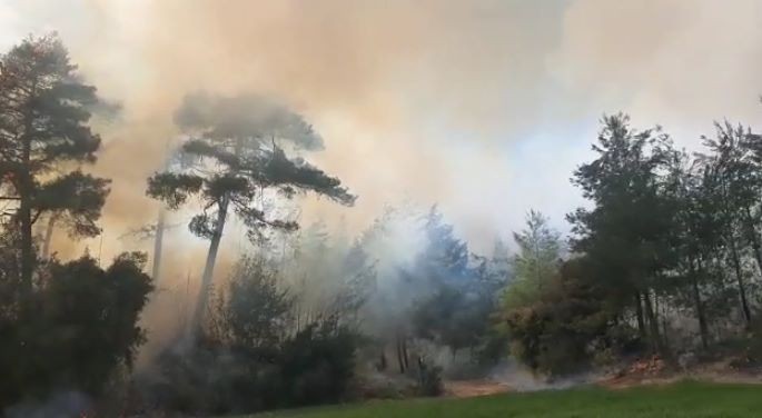  Tarsus'ta orman yangını   