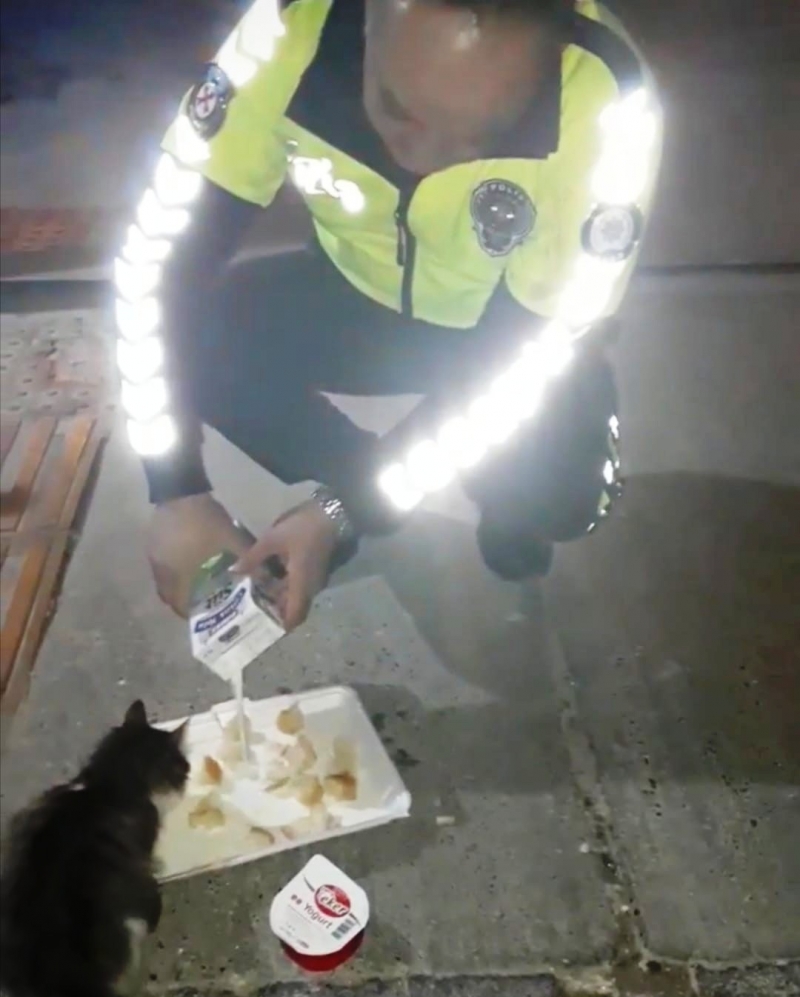 Trafik polisi sahipsiz hayvanları kendi elleriyle besliyor 