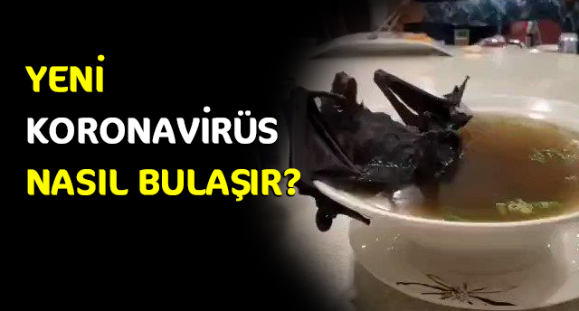 YENİ KORONAVİRÜS NASIL BULAŞIR?