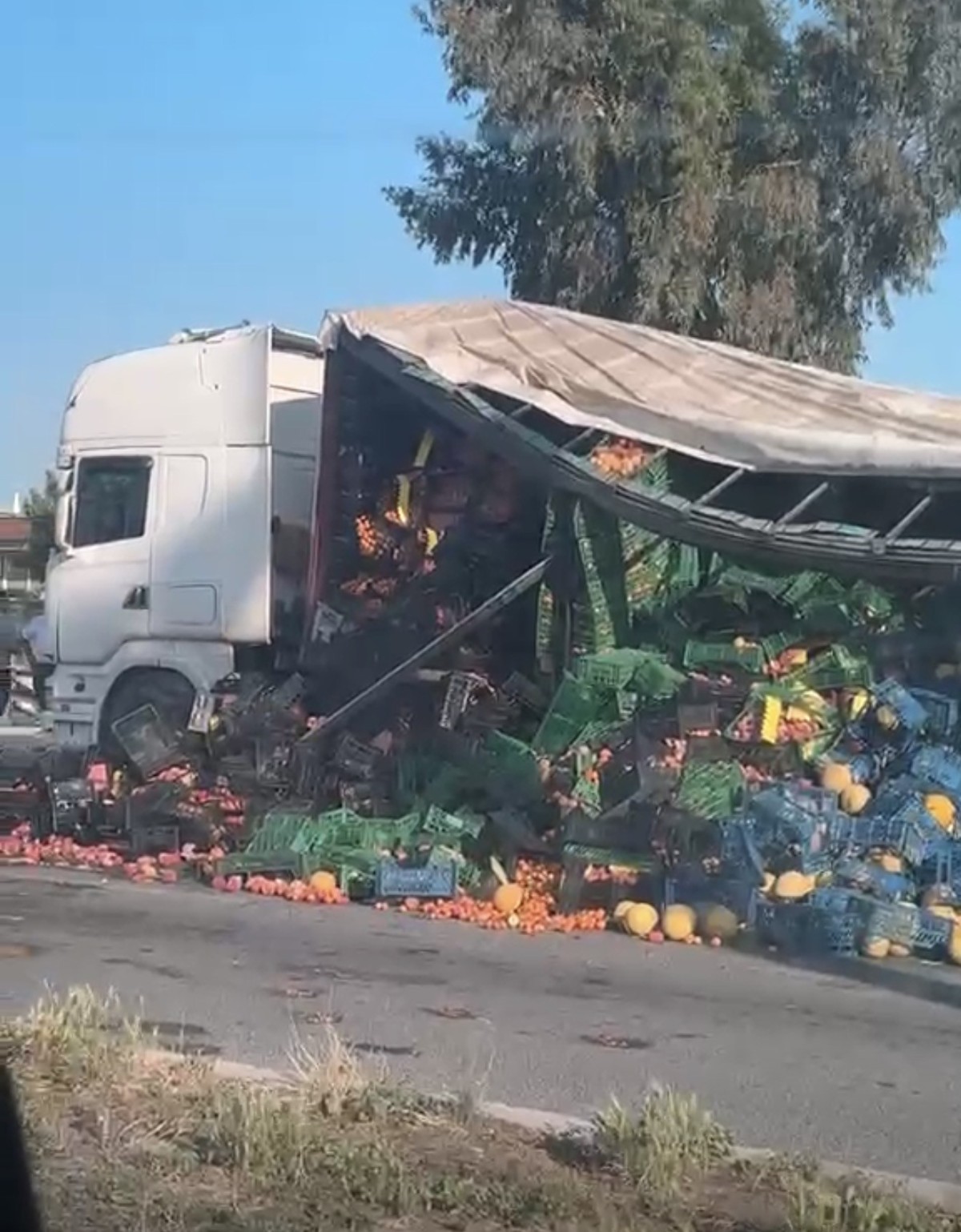 Tarsus’ta sebze meyve yüklü tırın çadırı yırtıldı, ürünler yola savruldu
