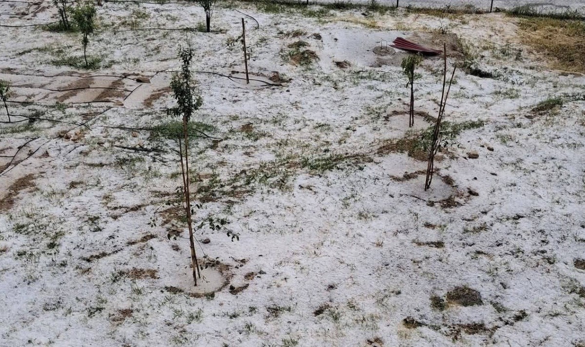 Erdemli’de dolu tarım alanlarına zarar verdi