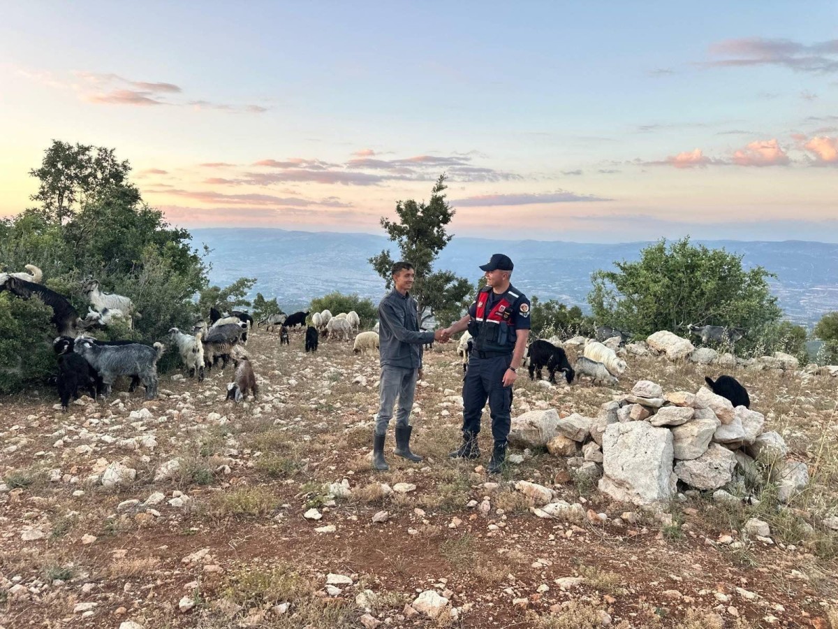 Mersin’de kayıp 40 küçükbaş bulundu
