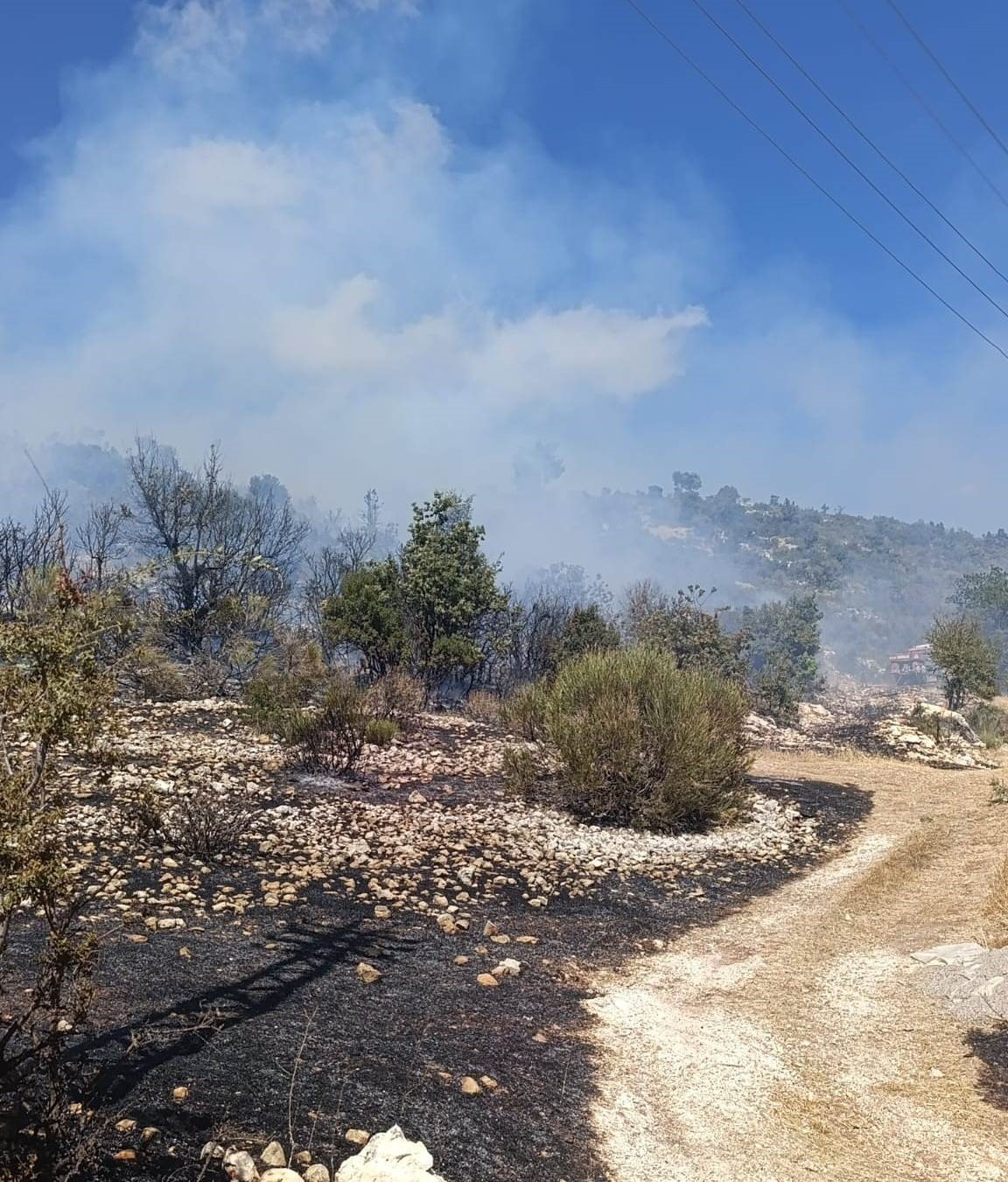 Silifke’deki yangın evlere ulaşmadan kontrol altına alındı
