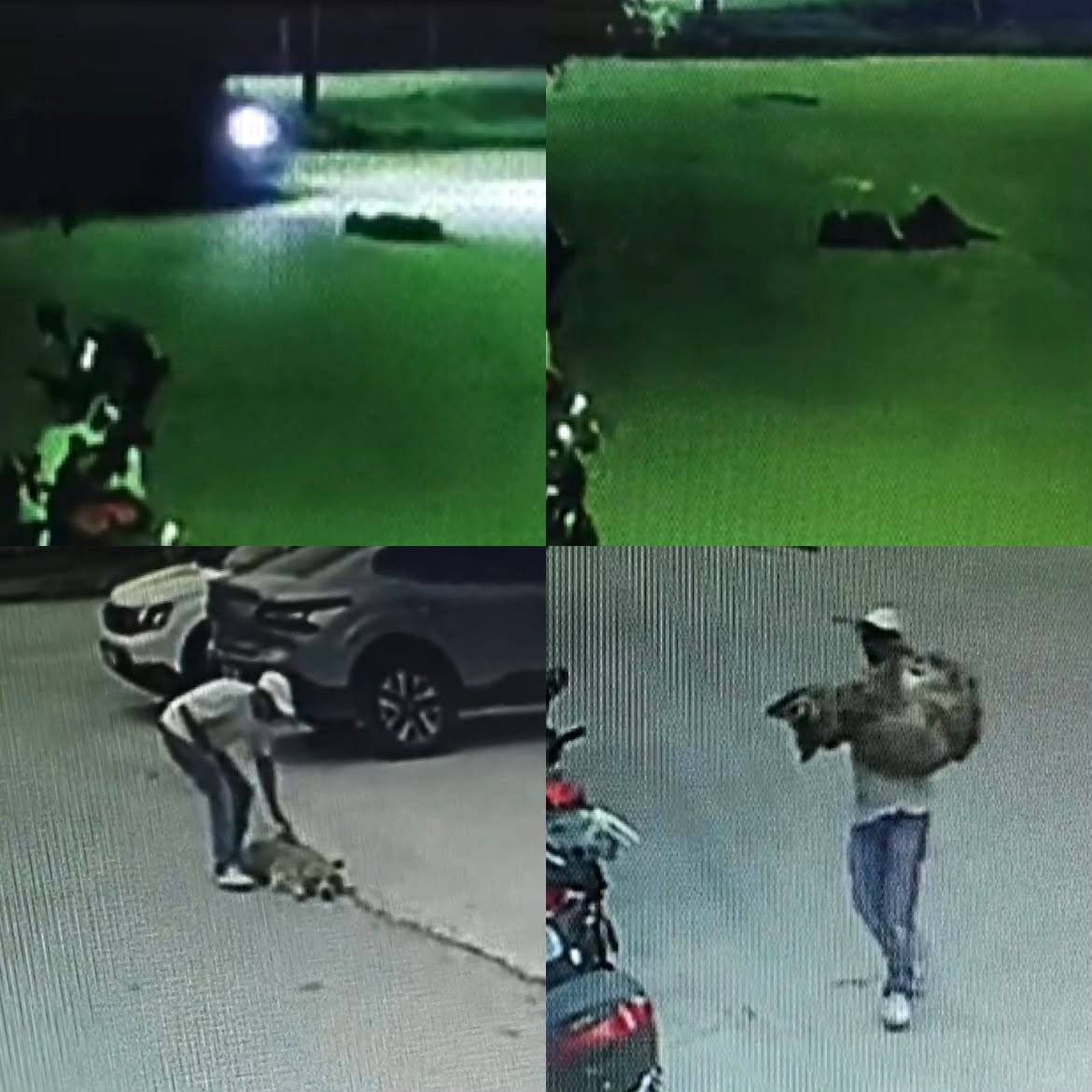 Araçla ezilen köpek kurtarılamadı